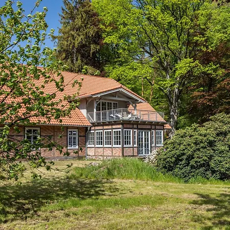 Appartement Mit Dachterrasse Dedelstorf